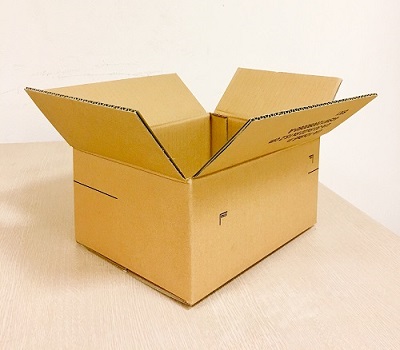 Corrugated Carton Box (Normal Lids)